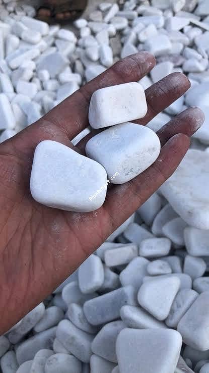 Medium size White Pebbles 1