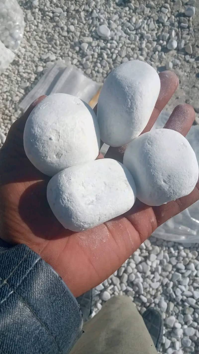 Medium size White Pebbles 4