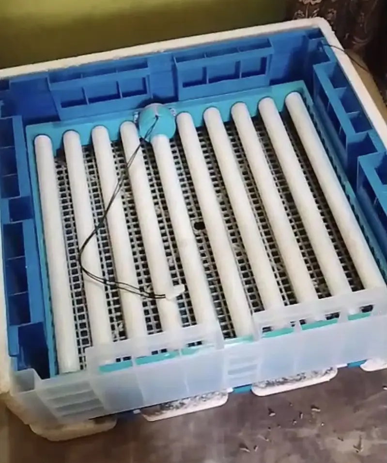 Intelligent 64 Eggs Automatic Incubator — photo 2