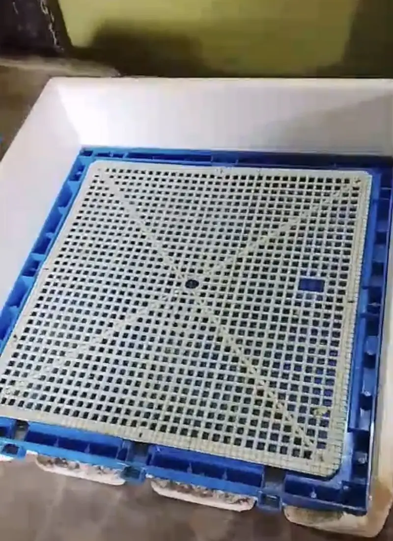 Intelligent 64 Eggs Automatic Incubator — photo 3