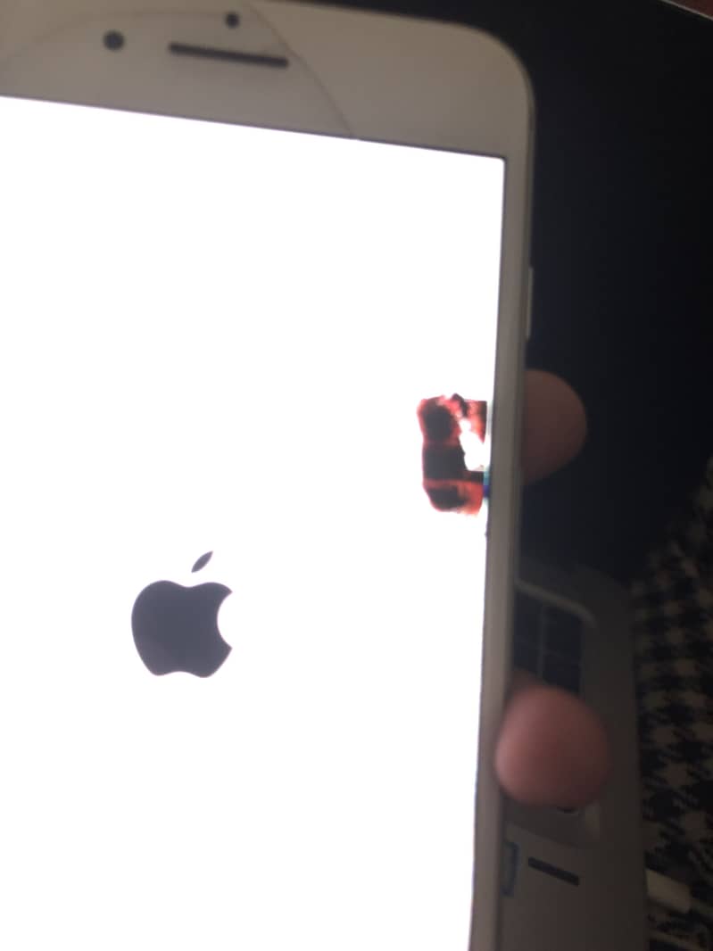 iPhone 7 Plus PTA 7