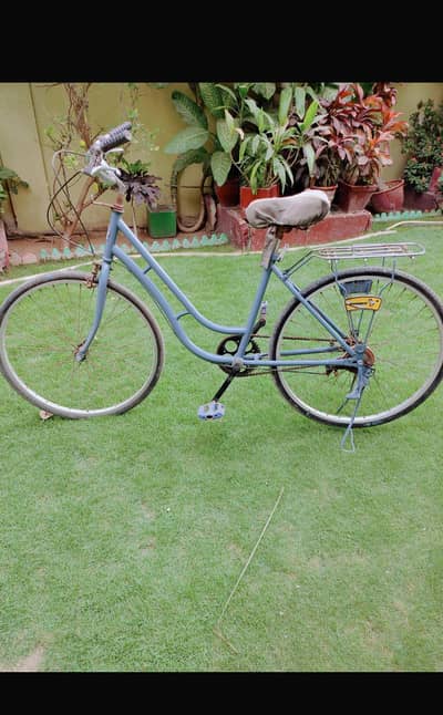 japanese cycle