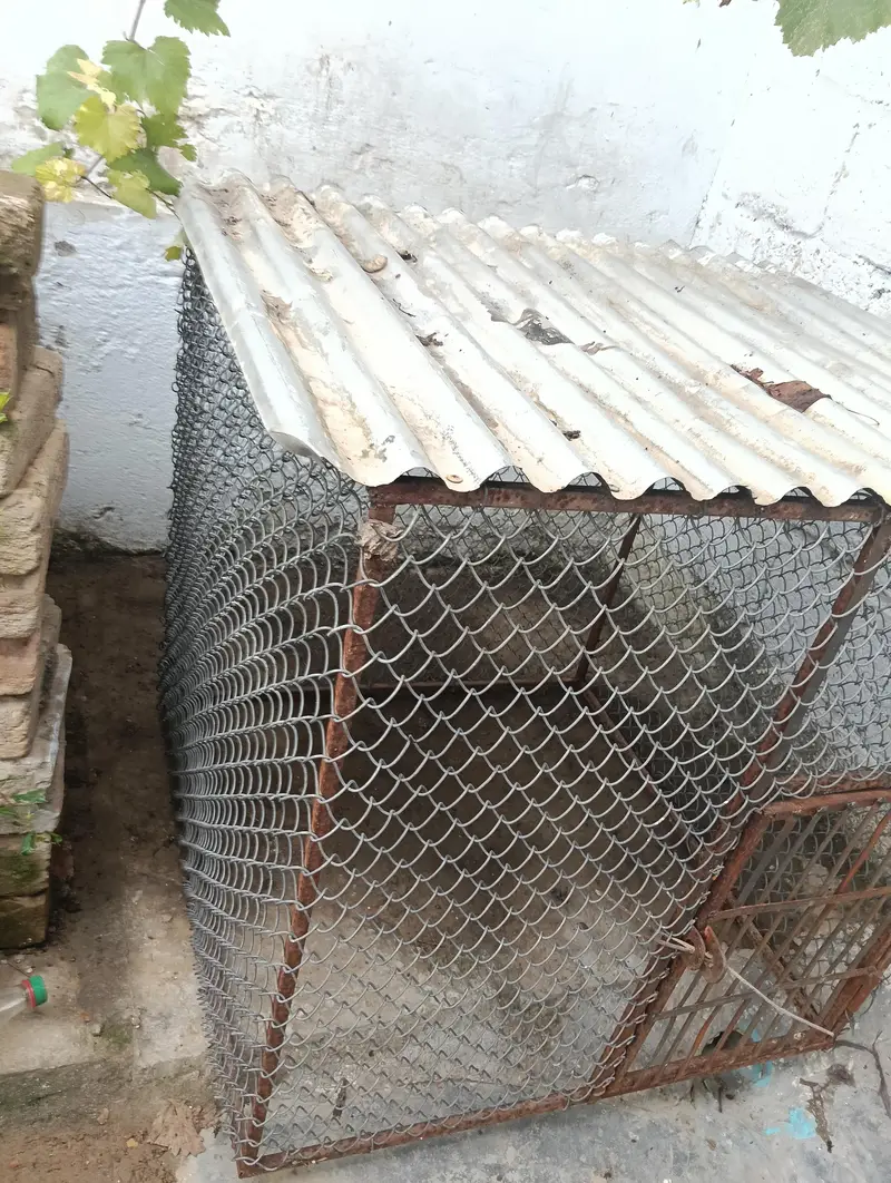 Hen Cage (Pinjara) for Sale — photo 3