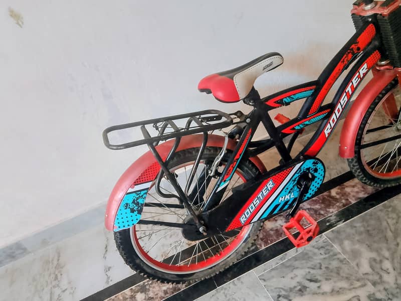 Bi-Cycle 1