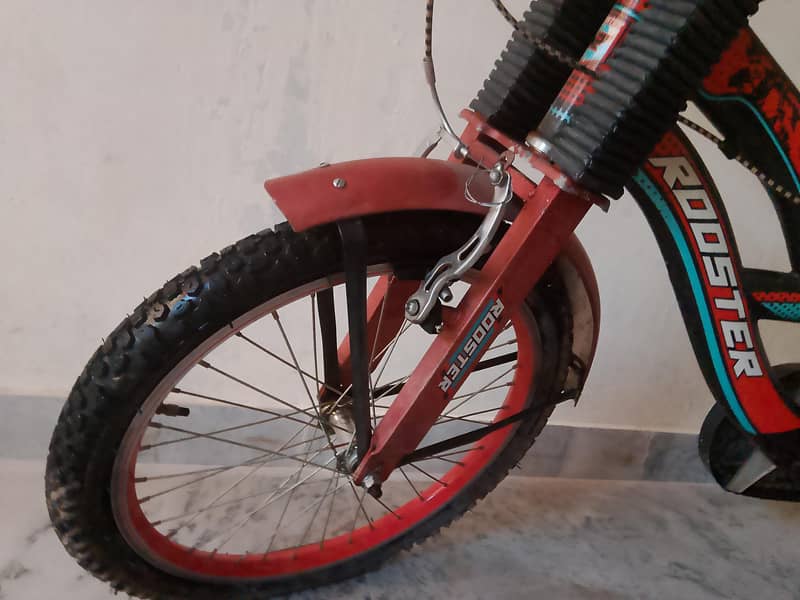 Bi-Cycle 5