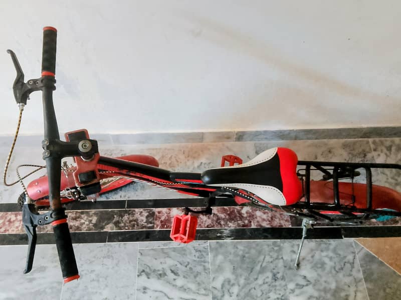 Bi-Cycle 6