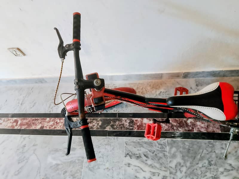 Bi-Cycle 7