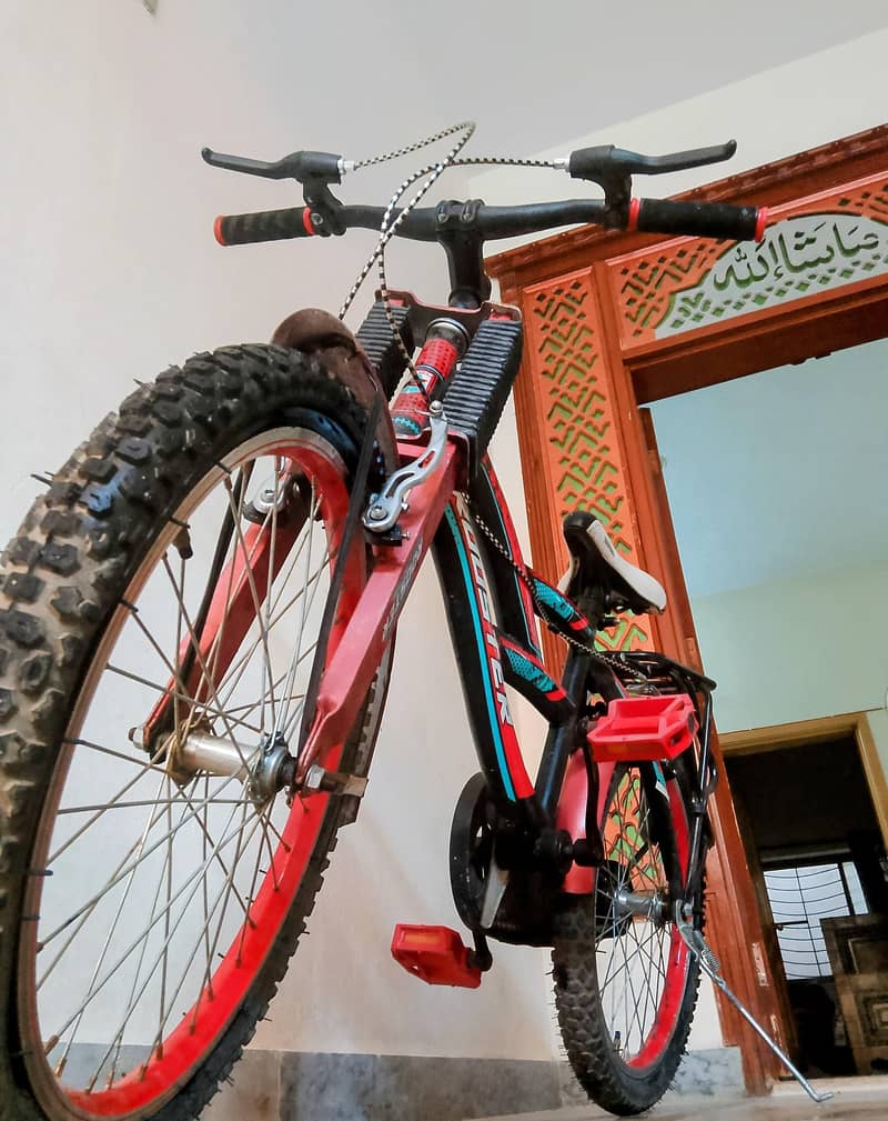 Bi-Cycle 10