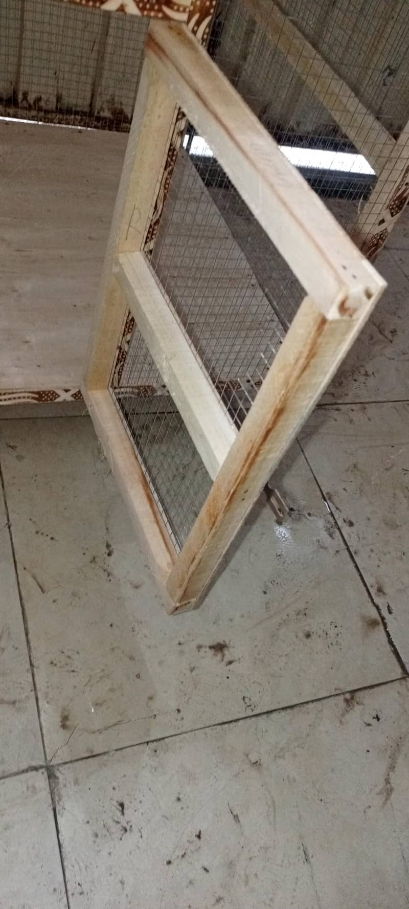 hens cage 3