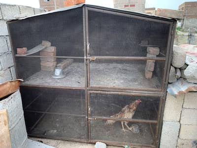 penjra for sale