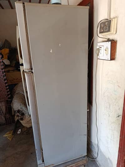 PEL Refrigerator