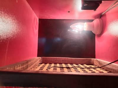 Incubator for sale