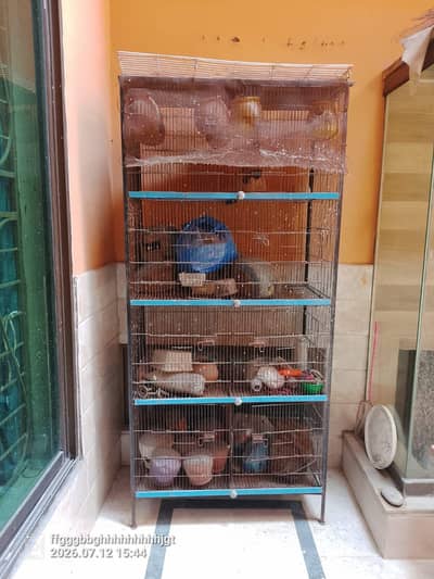 cage for sale