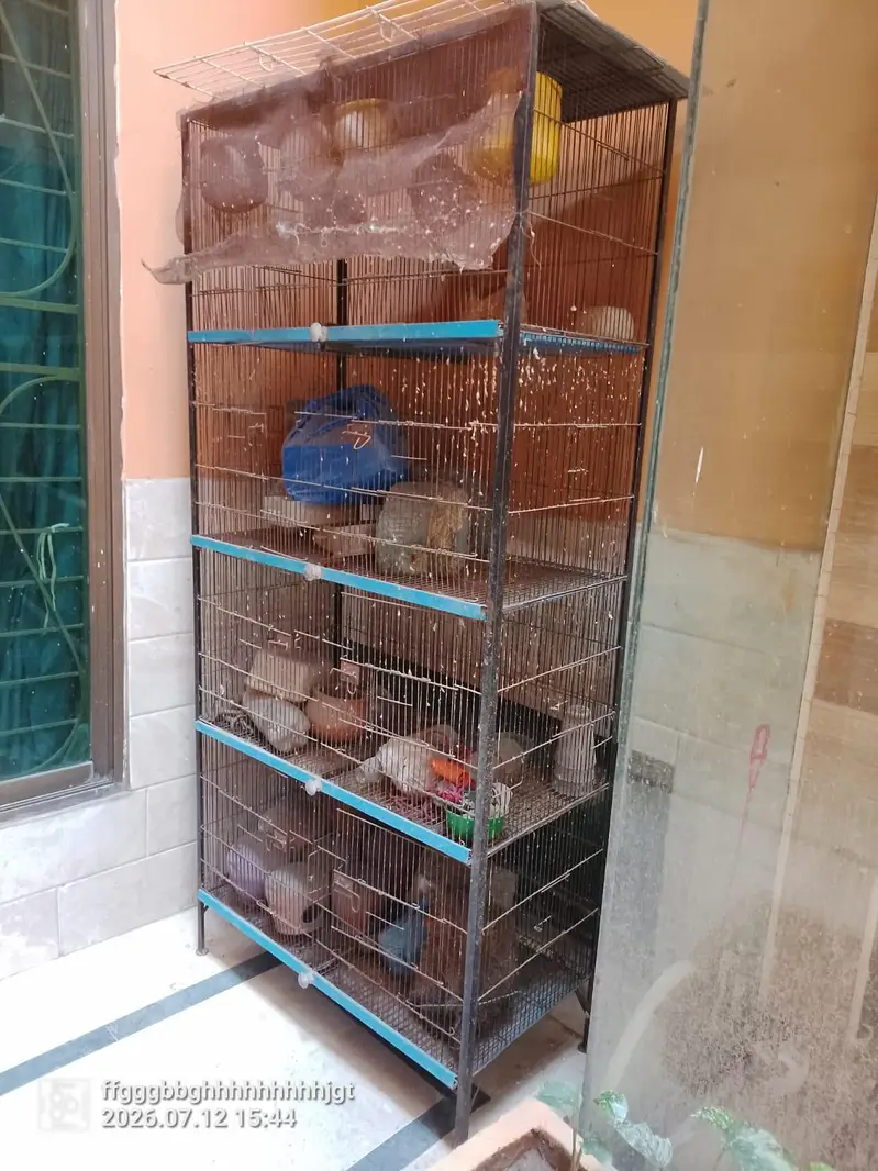cage for sale — photo 2