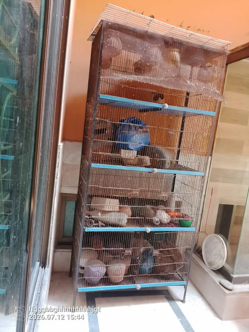 cage for sale — photo 3