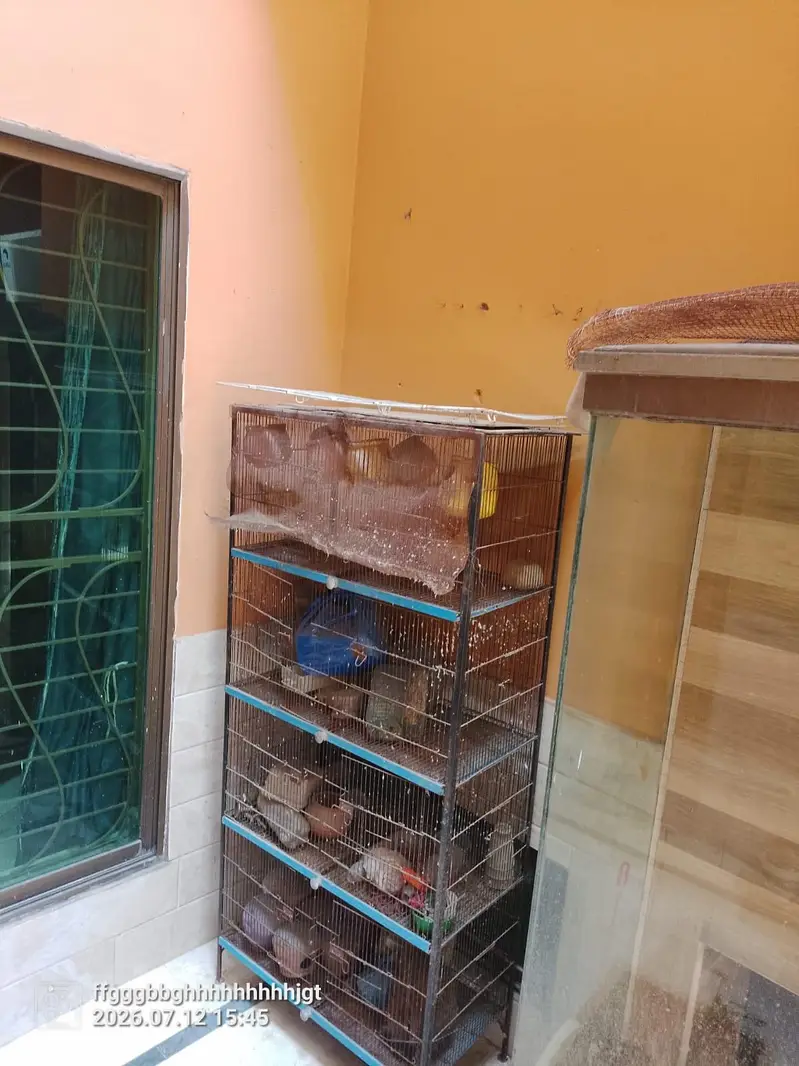 cage for sale — photo 4