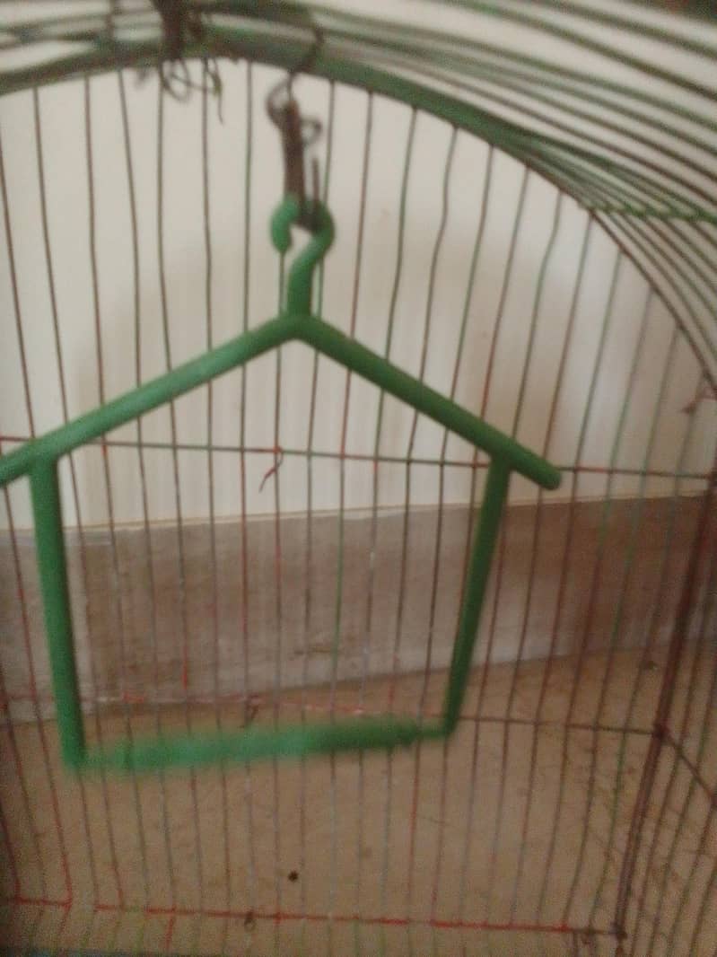 bird cage 1