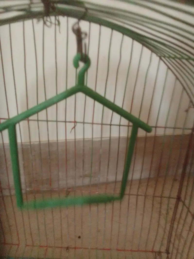 bird cage — photo 2
