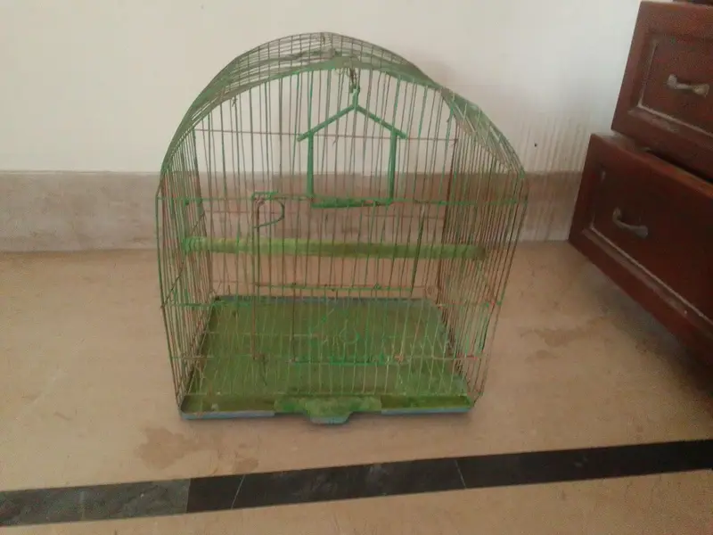 bird cage — photo 3