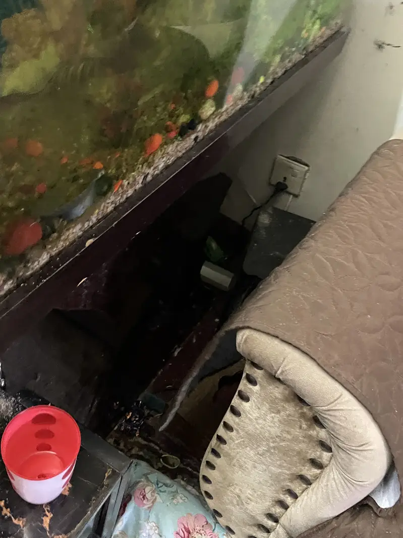Aquarium with fish and with fish food — photo 4
