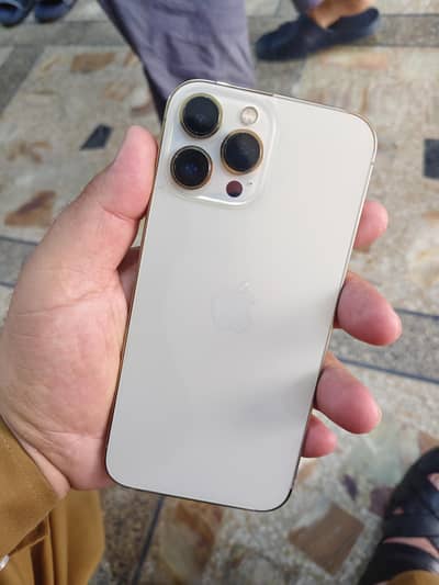 Apple iPhone 13 Pro Max