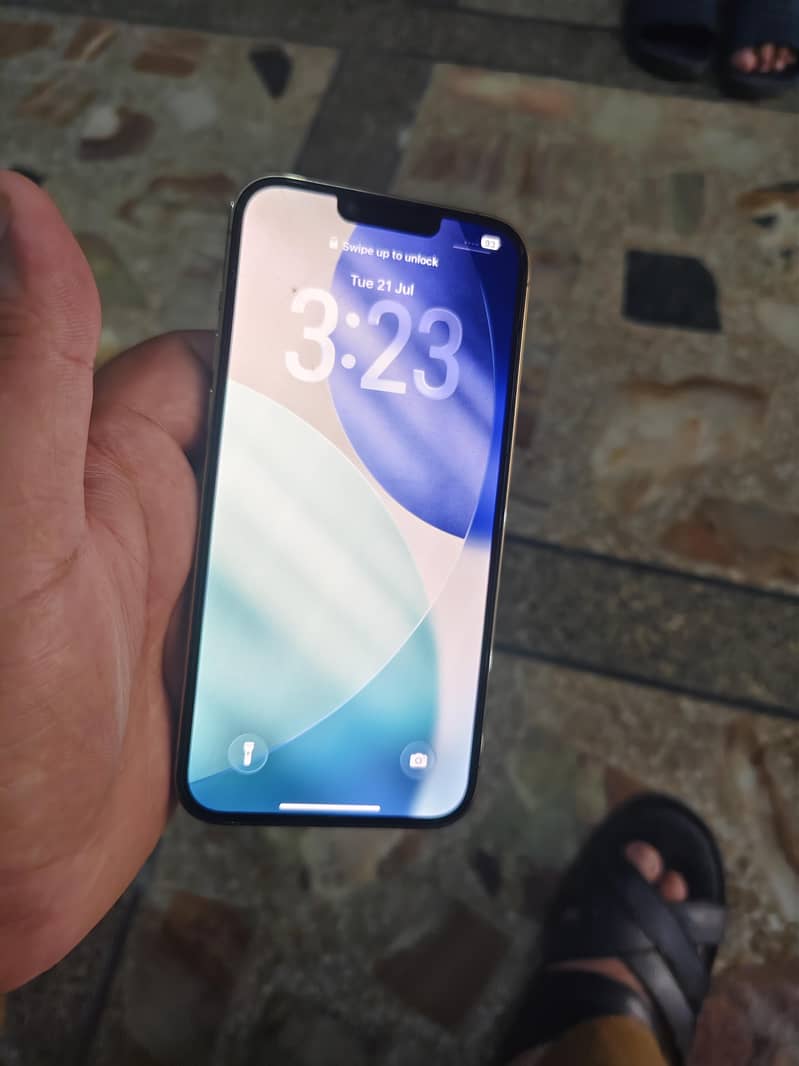 Apple iPhone 13 Pro Max 1
