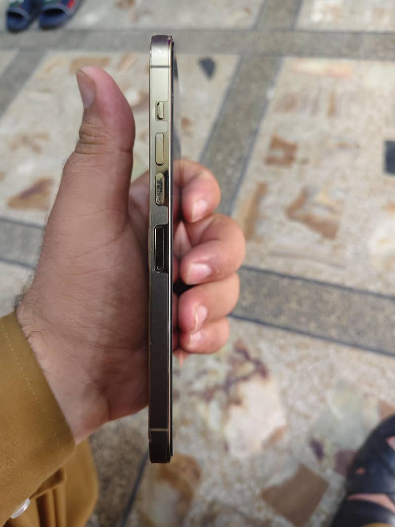 Apple iPhone 13 Pro Max 3