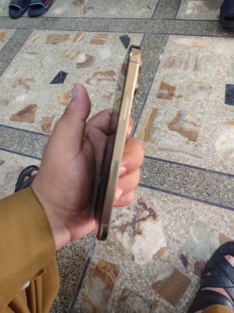 Apple iPhone 13 Pro Max 4