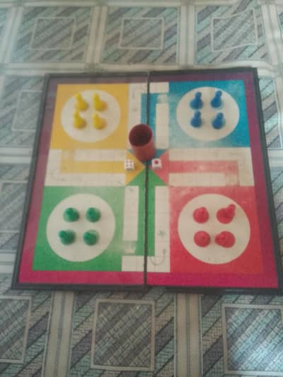 magnetic ludu sell