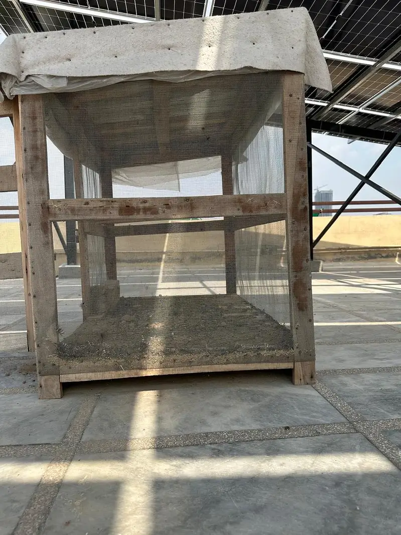 Wooden Cages Available For Sale — photo 3