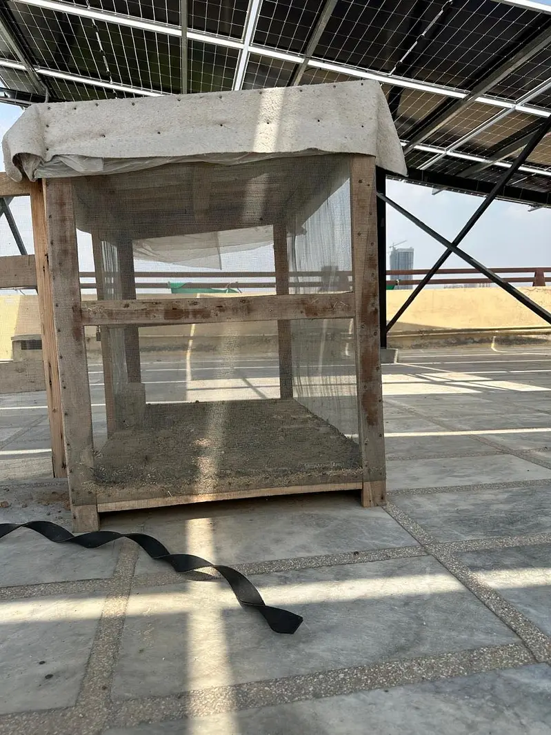 Wooden Cages Available For Sale — photo 6