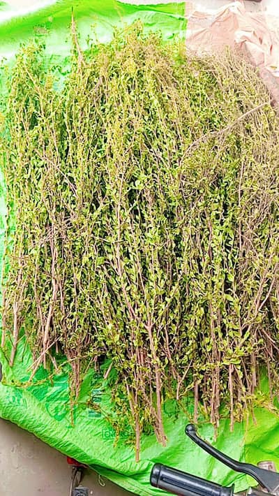 Natural Pure Mehndi ( Henna Powder )