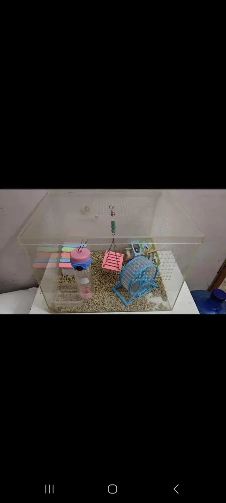 Cute Hamster with complete setup available for new home — photo 2
