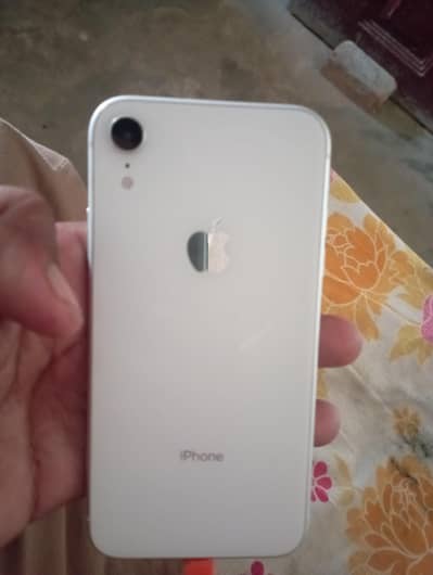 iPhone xr