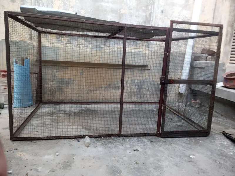 Large Birds and Hen Cage for Sale — photo 3