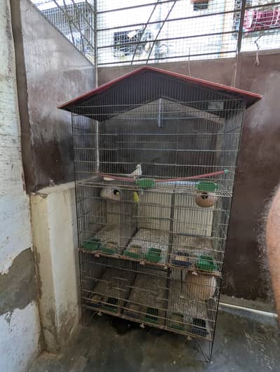 All setup for sell with cage
