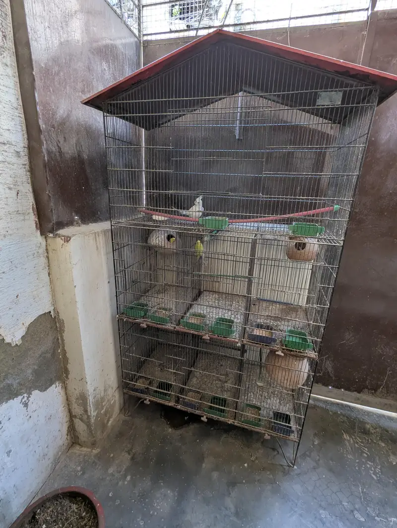 All setup for sell with cage — photo 2