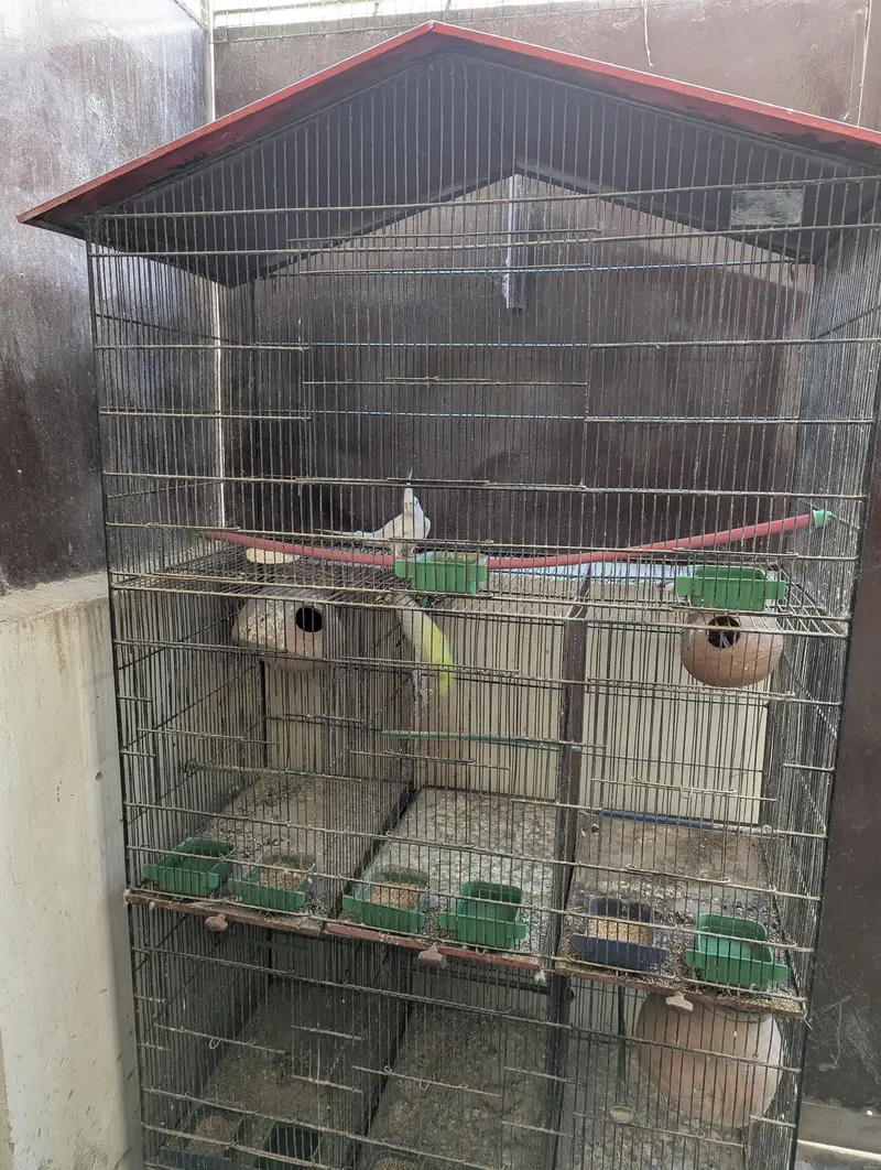 All setup for sell with cage — photo 3