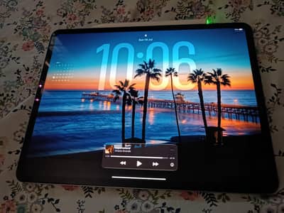 IPAD PRO M2 12.9 Inches 256GB WiFi+ Cellular