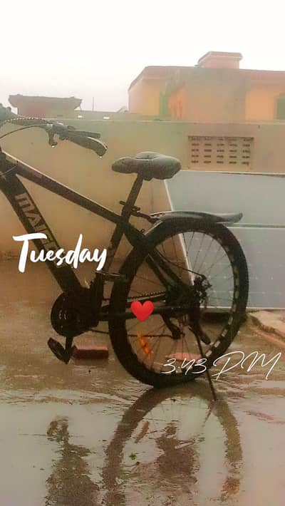 maigioo cycle