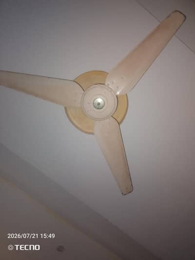 ceiling fan 10/7 copper