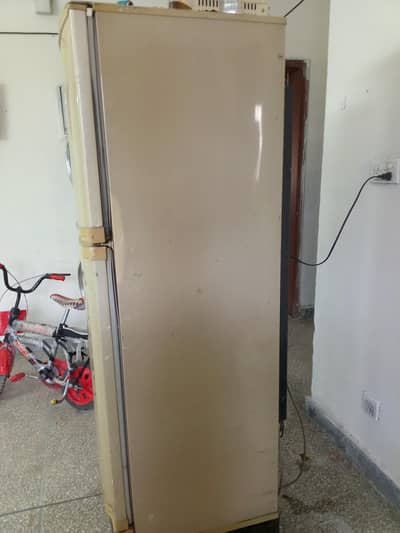 PEL freezer medium size