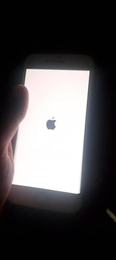 Apple iPhone 7