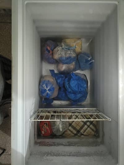 Haier Deep freezer 13cft