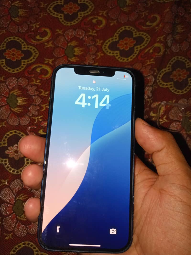 Apple iPhone 12 1