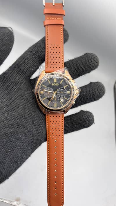 Hugo boss original watch