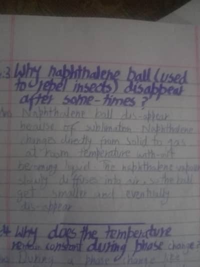 I am a professional writer