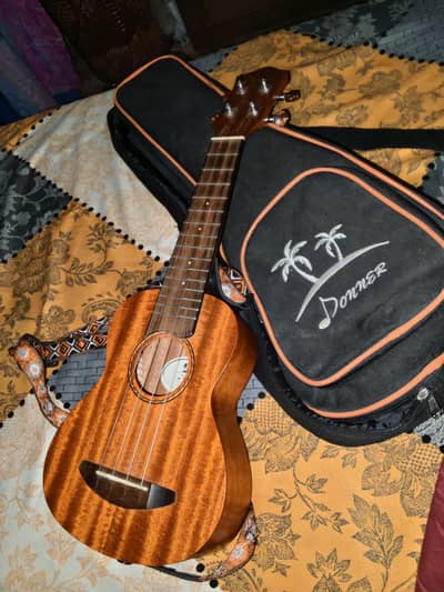 Guitar with bag Imported