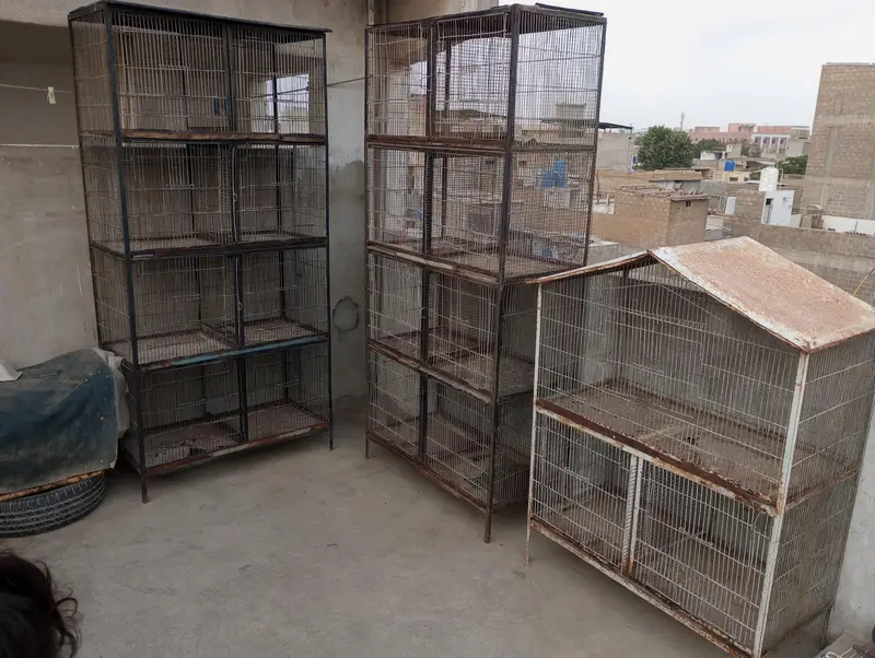 3 cages — photo 2