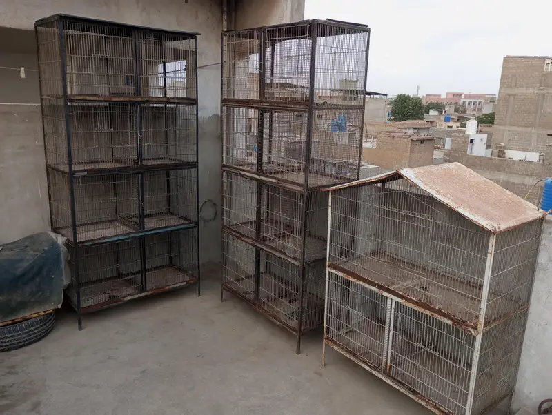 3 cages — photo 3